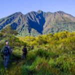 21 Days – Best Gorilla Tours & Safaris