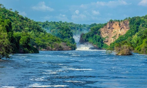best gorilla tours & safaris