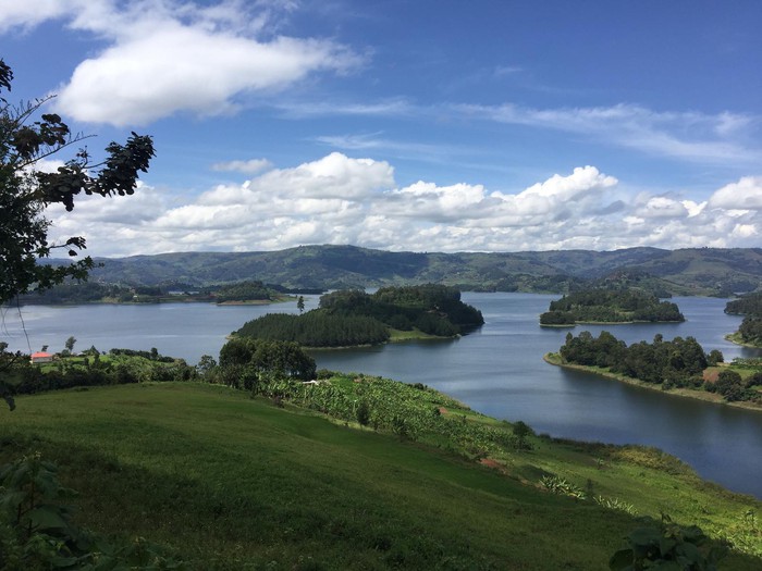 gorilla tours uganda