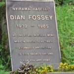 3 DAYS DIANNE FOSSEY HIKE & MUSANZE CAVES TOUR