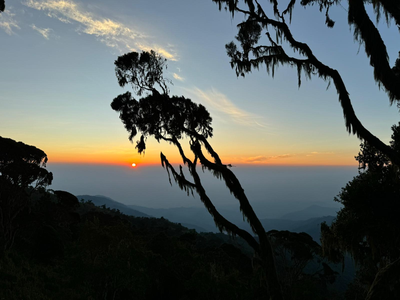 IMG-20240125-WA0010