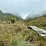14 Days Gorilla Trekking & Mountain Rwenzori Hiking Tour In Uganda