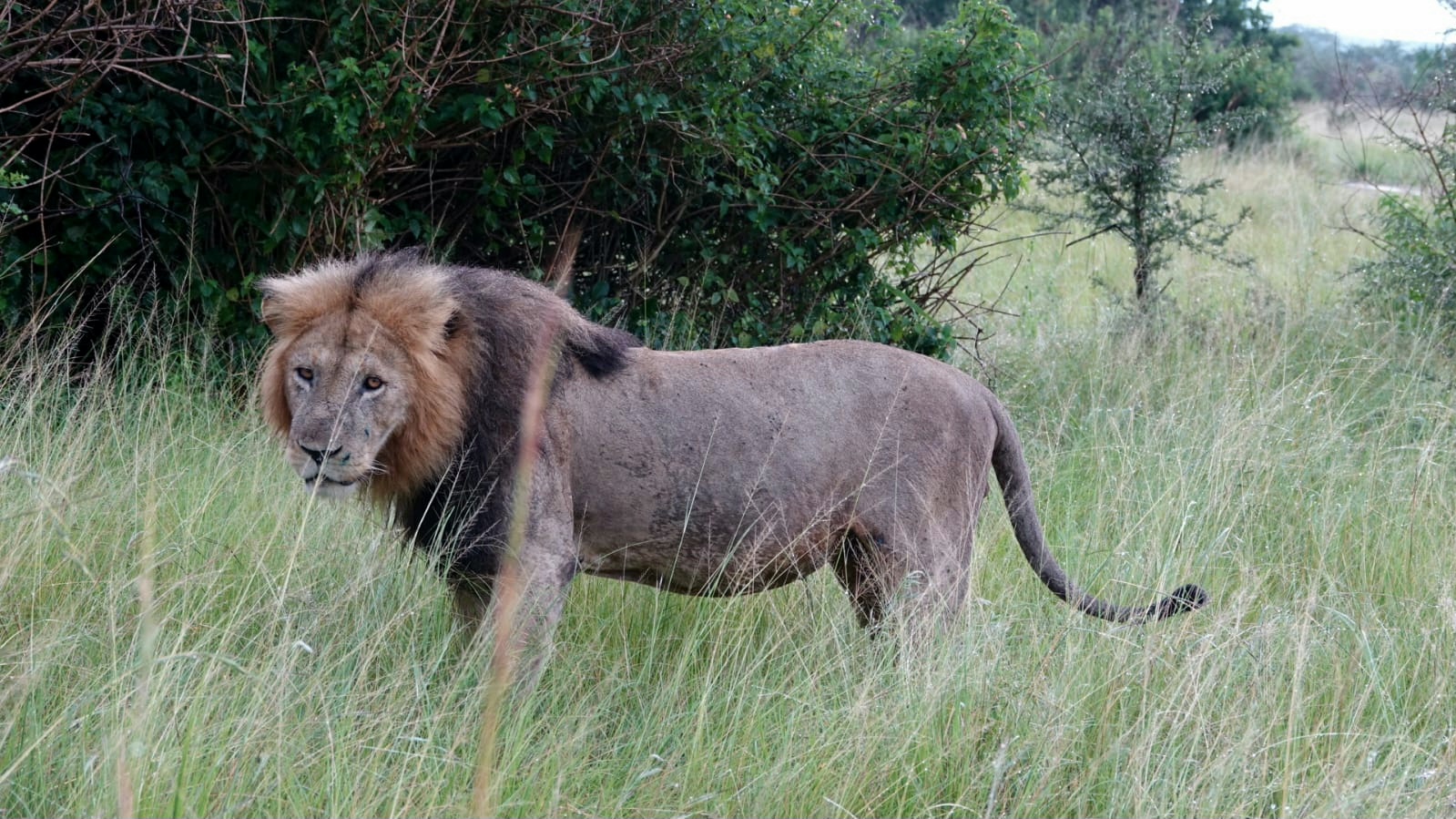 Uganda private tours
