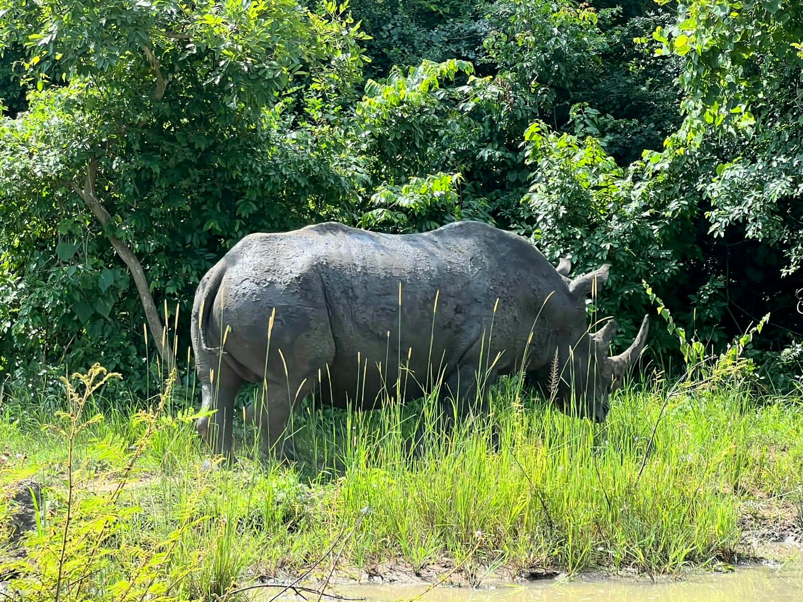 Uganda wildlife tour